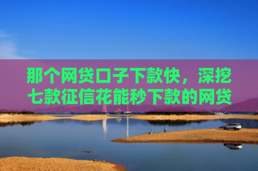 那个网贷口子下款快，深挖七款征信花能秒下款的网贷