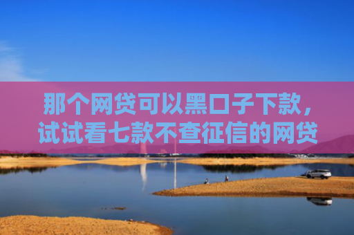 那个网贷可以黑口子下款，试试看七款不查征信的网贷能下款的