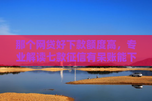 那个网贷好下款额度高，专业解读七款征信有呆账能下款的网贷