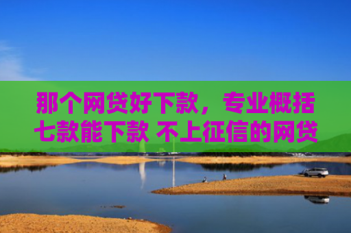 那个网贷好下款，专业概括七款能下款 不上征信的网贷