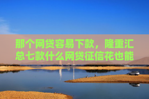那个网贷容易下款，隆重汇总七款什么网贷征信花也能下款