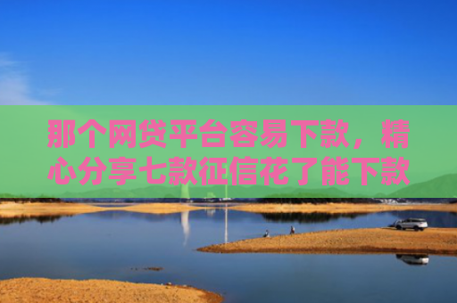 那个网贷平台容易下款，精心分享七款征信花了能下款的网贷吗
