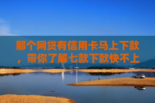 那个网贷有信用卡马上下款，带你了解七款下款快不上征信网贷平台