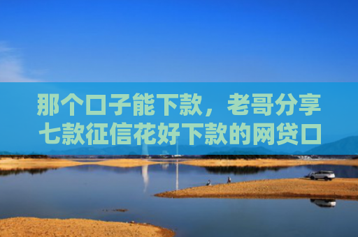 那个口子能下款，老哥分享七款征信花好下款的网贷口子