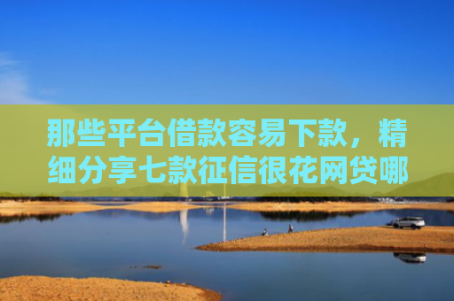 那些平台借款容易下款，精细分享七款征信很花网贷哪个好下款
