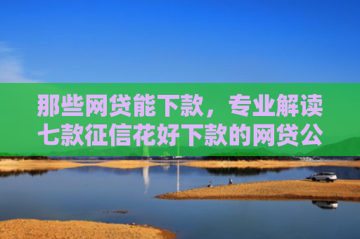 那些网贷能下款，专业解读七款征信花好下款的网贷公司