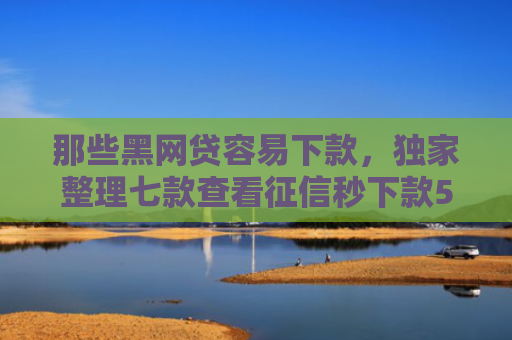 那些黑网贷容易下款，独家整理七款查看征信秒下款5000的网贷