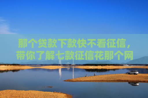 那个贷款下款快不看征信，带你了解七款征信花那个网贷能下款