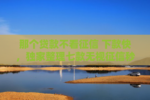 那个贷款不看征信 下款快，独家整理七款无视征信秒下款的网贷