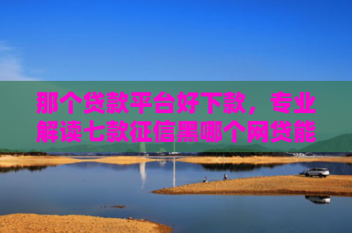 那个贷款平台好下款，专业解读七款征信黑哪个网贷能下款