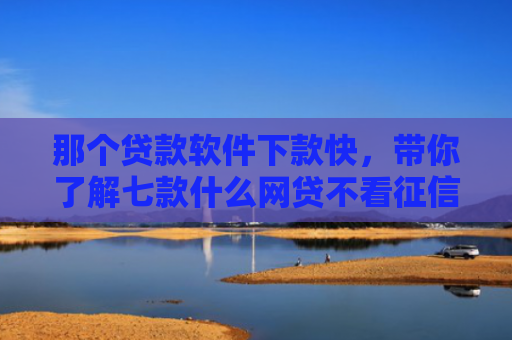 那个贷款软件下款快，带你了解七款什么网贷不看征信必下款