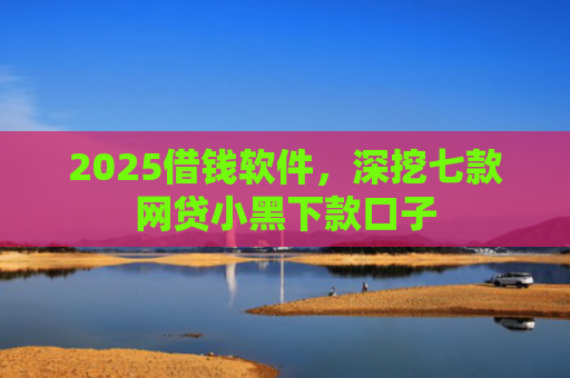 2025借钱软件，深挖七款网贷小黑下款口子