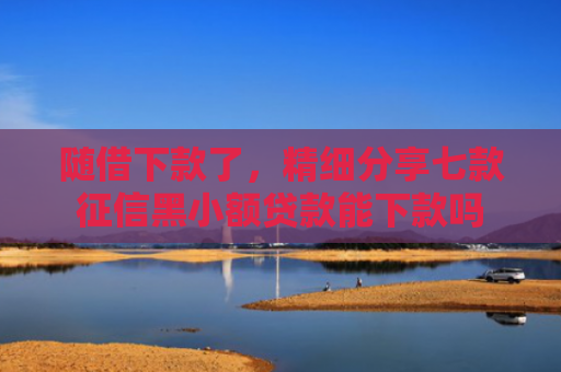 随借下款了，精细分享七款征信黑小额贷款能下款吗