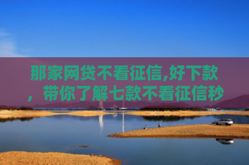 那家网贷不看征信,好下款，带你了解七款不看征信秒下款的网贷6