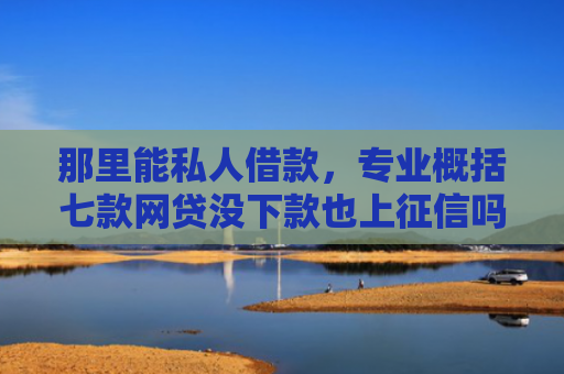 那里能私人借款，专业概括七款网贷没下款也上征信吗
