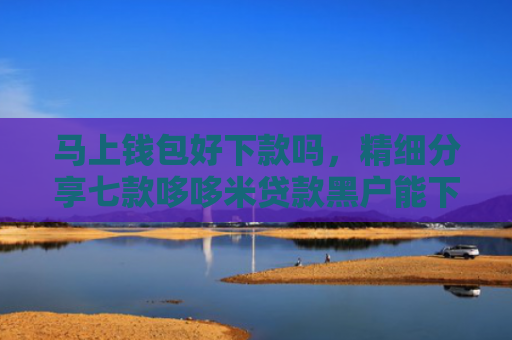 马上钱包好下款吗，精细分享七款哆哆米贷款黑户能下款吗