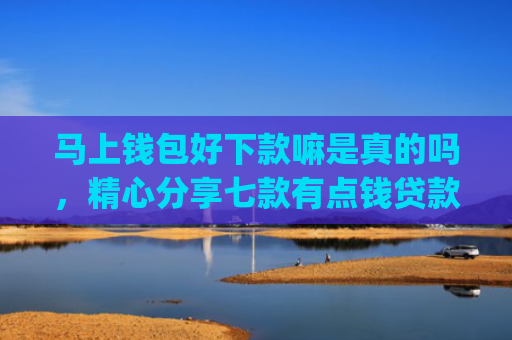 马上钱包好下款嘛是真的吗，精心分享七款有点钱贷款app黑户能下款吗