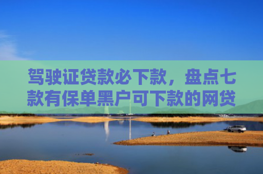 驾驶证贷款必下款，盘点七款有保单黑户可下款的网贷