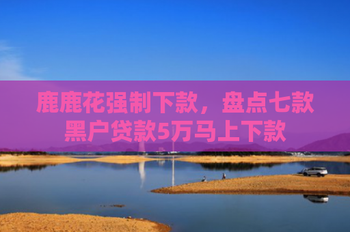 鹿鹿花强制下款，盘点七款黑户贷款5万马上下款
