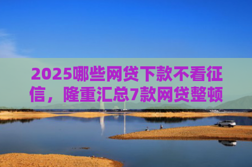 2025哪些网贷下款不看征信，隆重汇总7款网贷整顿后下款口子